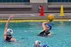 WWPolo vs CC  Wheaton College Women’s Water Polo vs Connecticut College. - Photo By: KEITH NORDSTROM : Wheaton, water polo